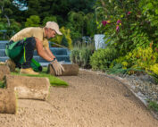 Hard Vs Soft Landscaping