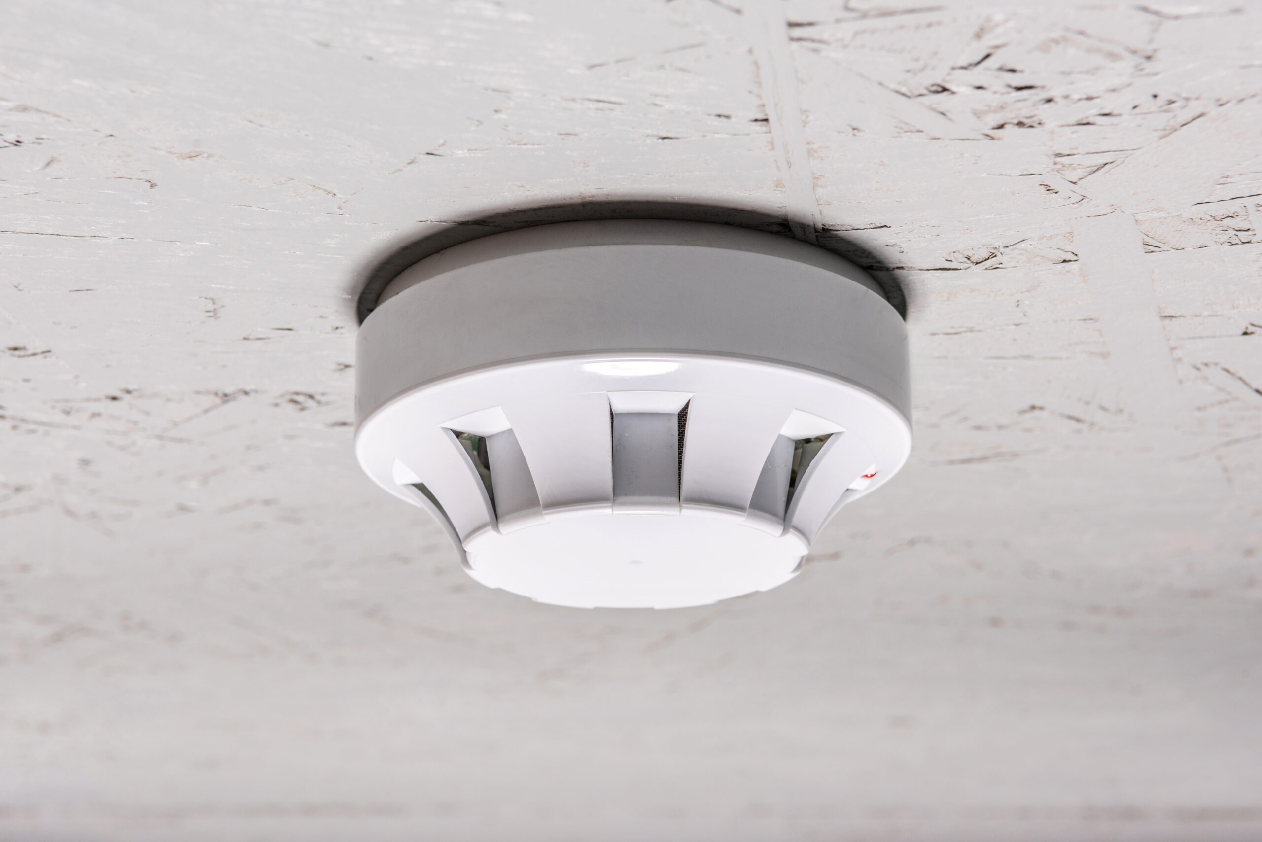 Comply With Fire Regulations – Smoke Detector on Ceiling Comply With Fire Regulations - Smoke Detector on Ceiling